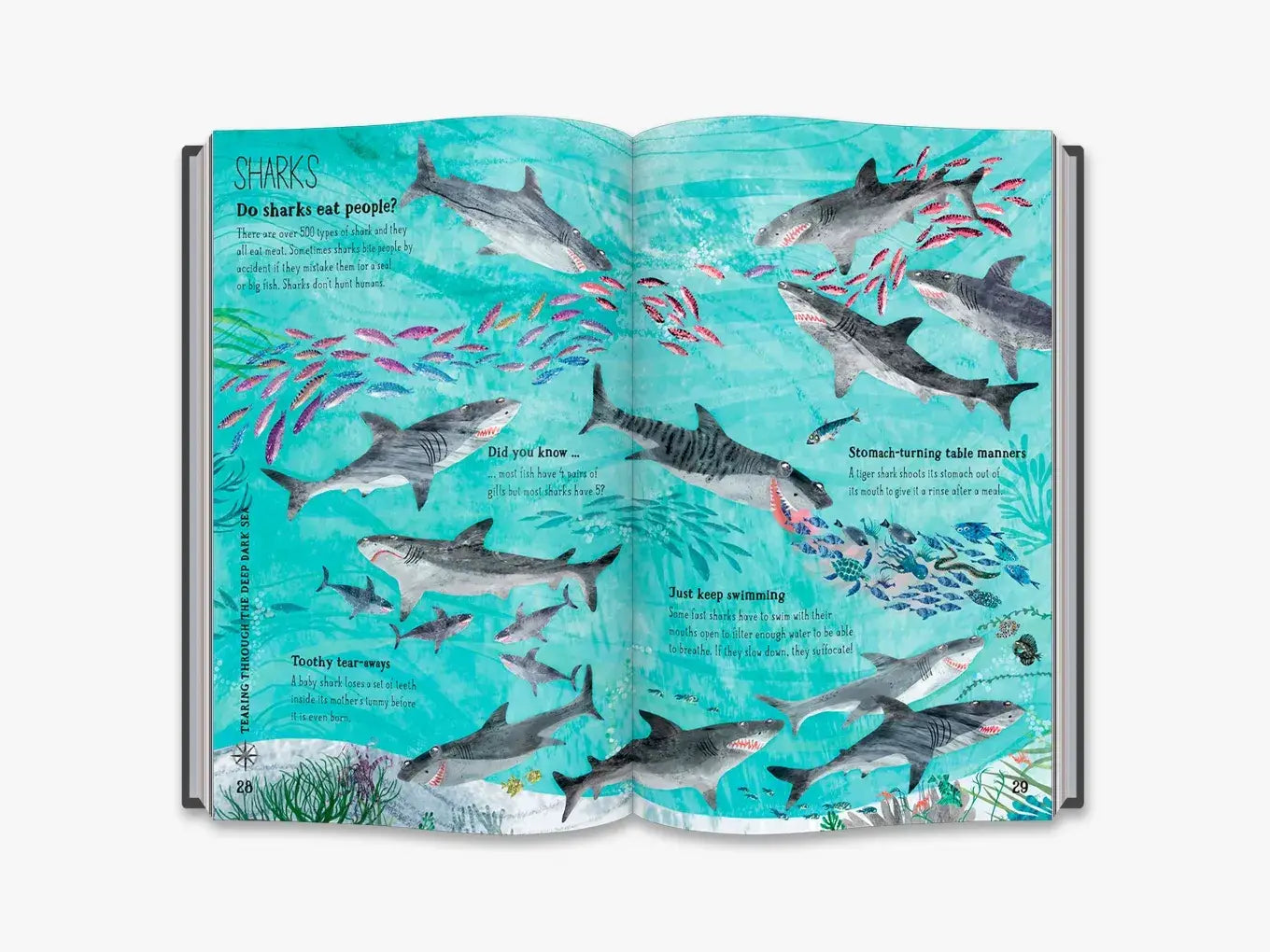 The Big Book of the Blue