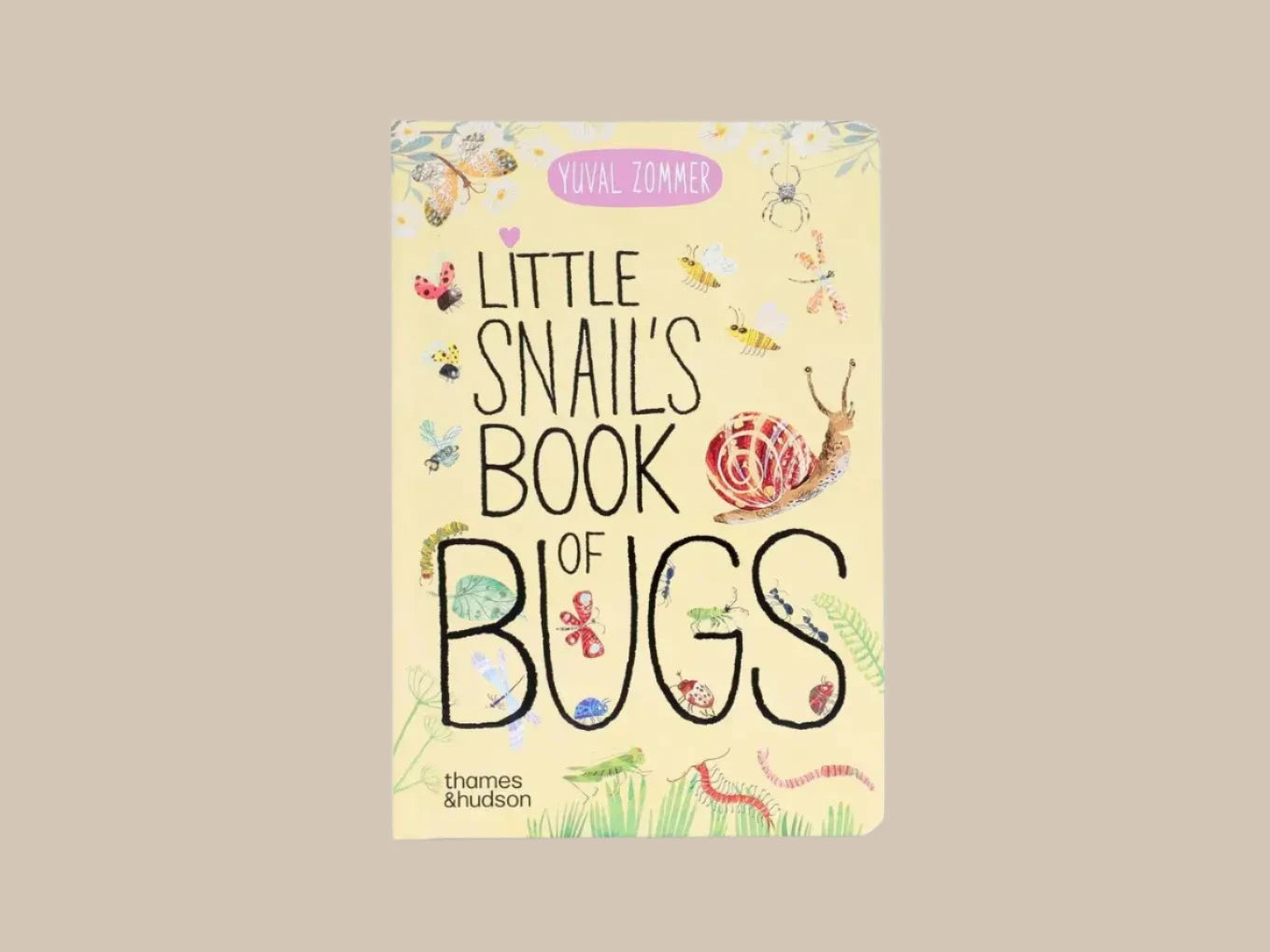 Little Snail's Book of Bugs