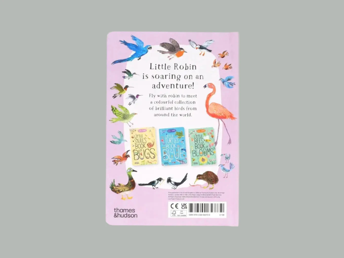 Little Robin's Book of Birds