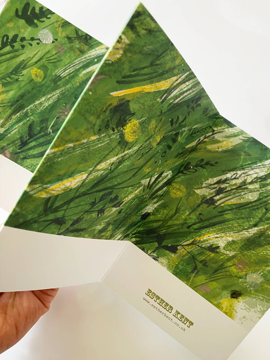 Meadow Concertina Card