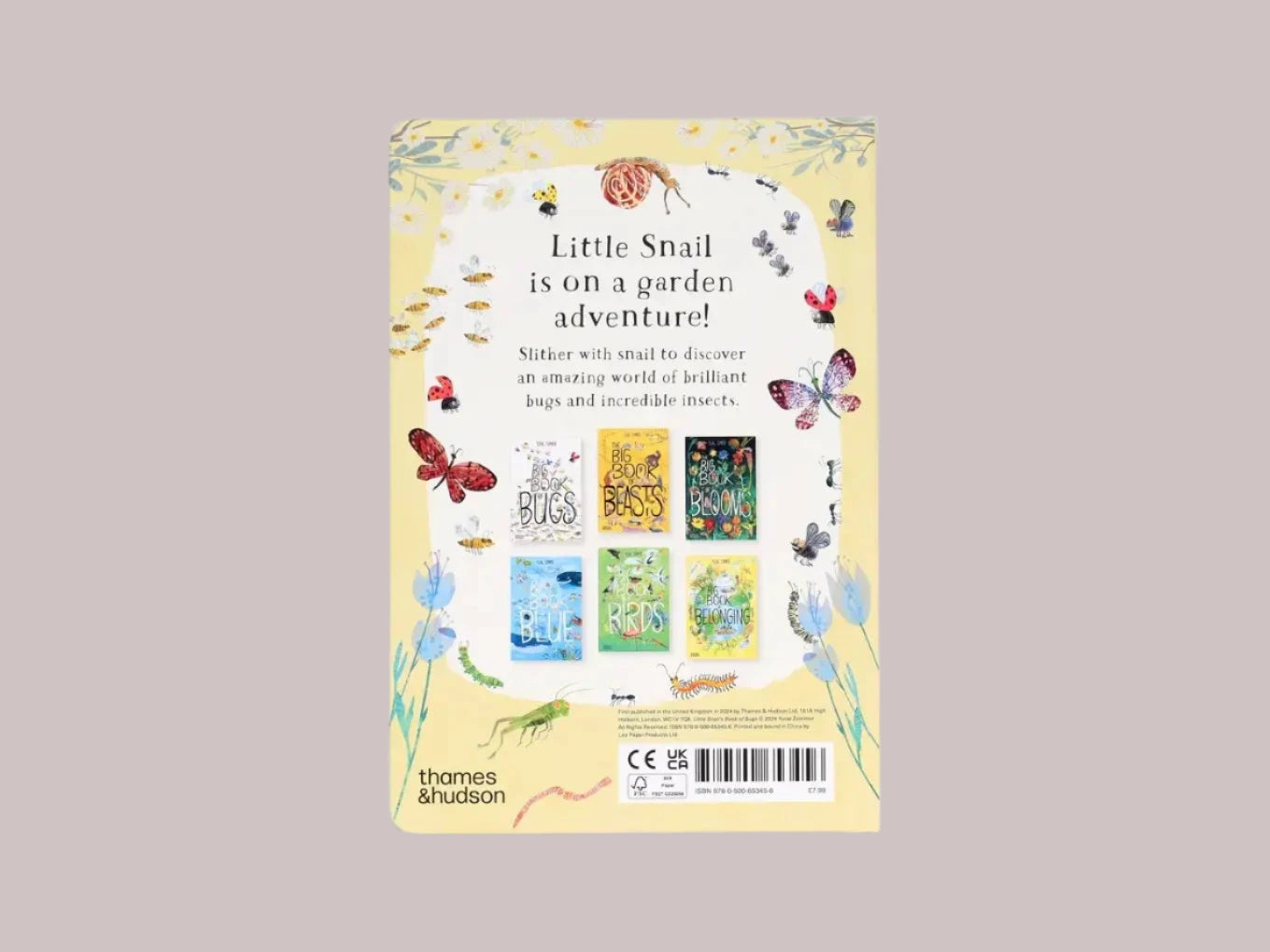 Little Snail's Book of Bugs