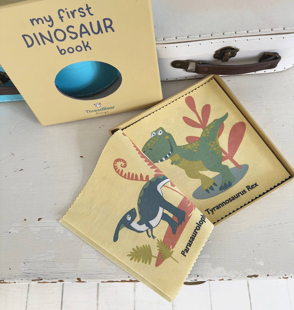 My First Dinosaur Book Rag Book, in gift box.