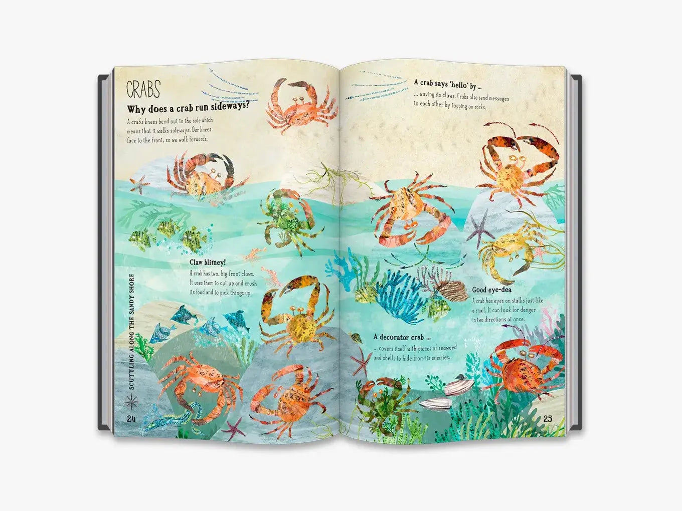 The Big Book of the Blue