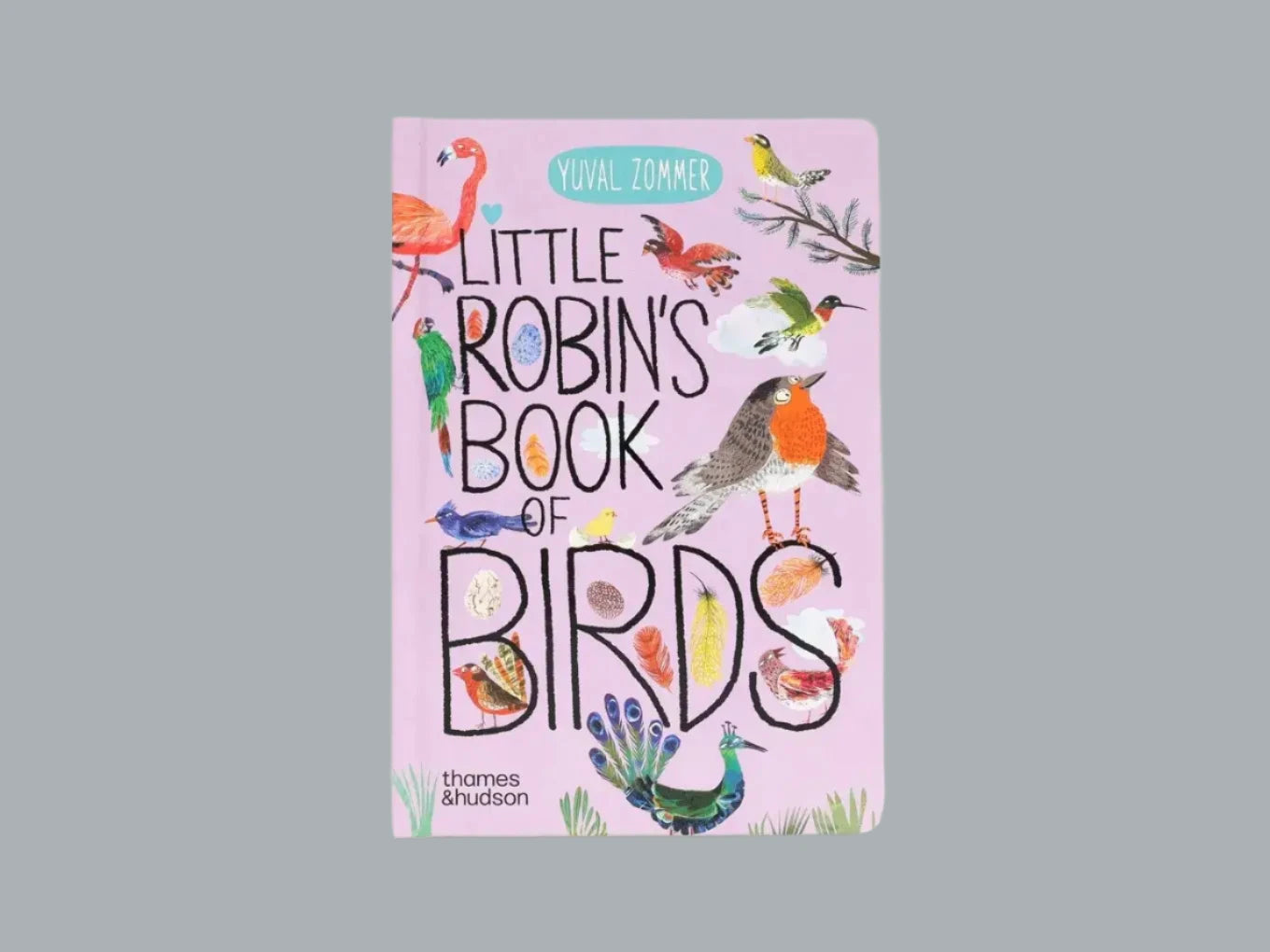 Little Robin's Book of Birds