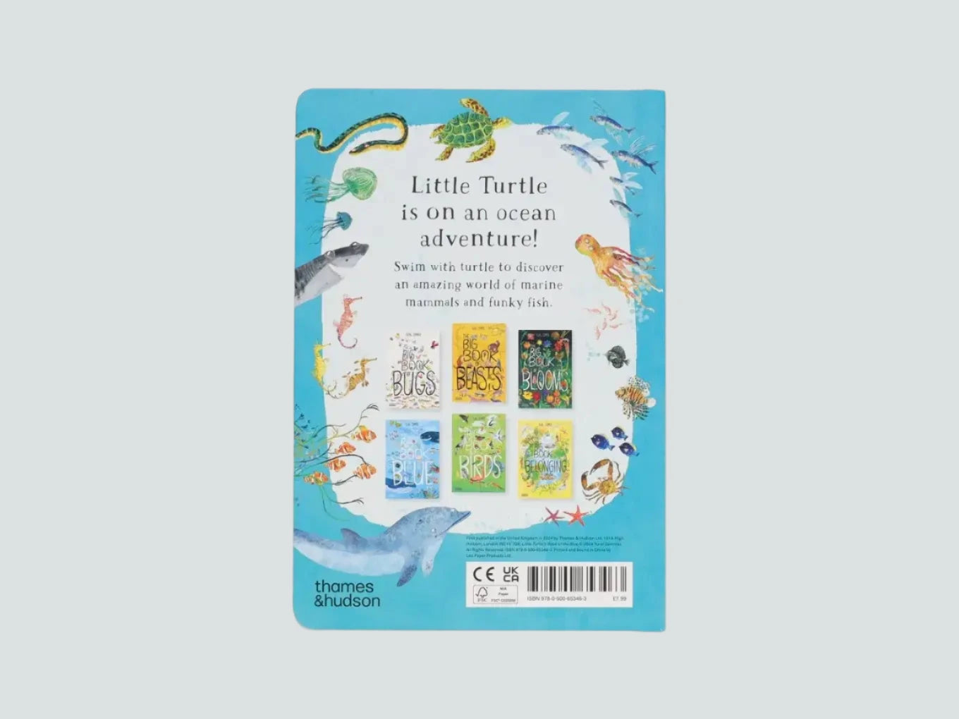 Little Turtle's Book of the Blue