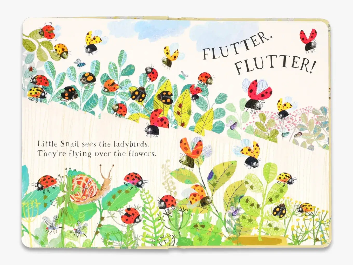 Little Snail's Book of Bugs