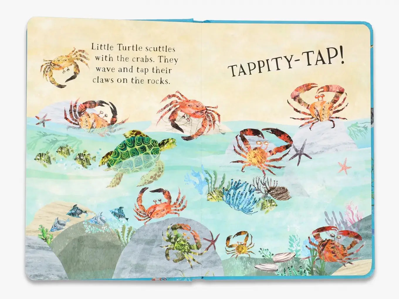 Little Turtle's Book of the Blue