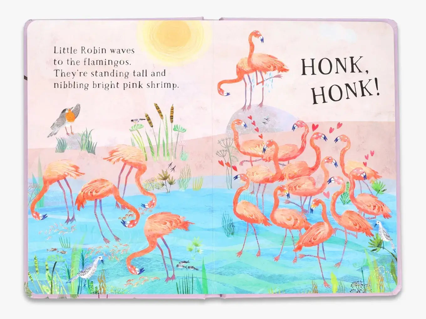 Little Robin's Book of Birds
