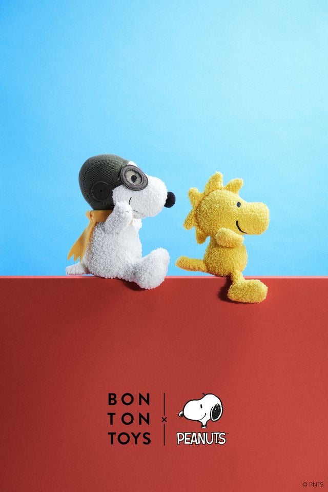 Woodstock. Peanuts.