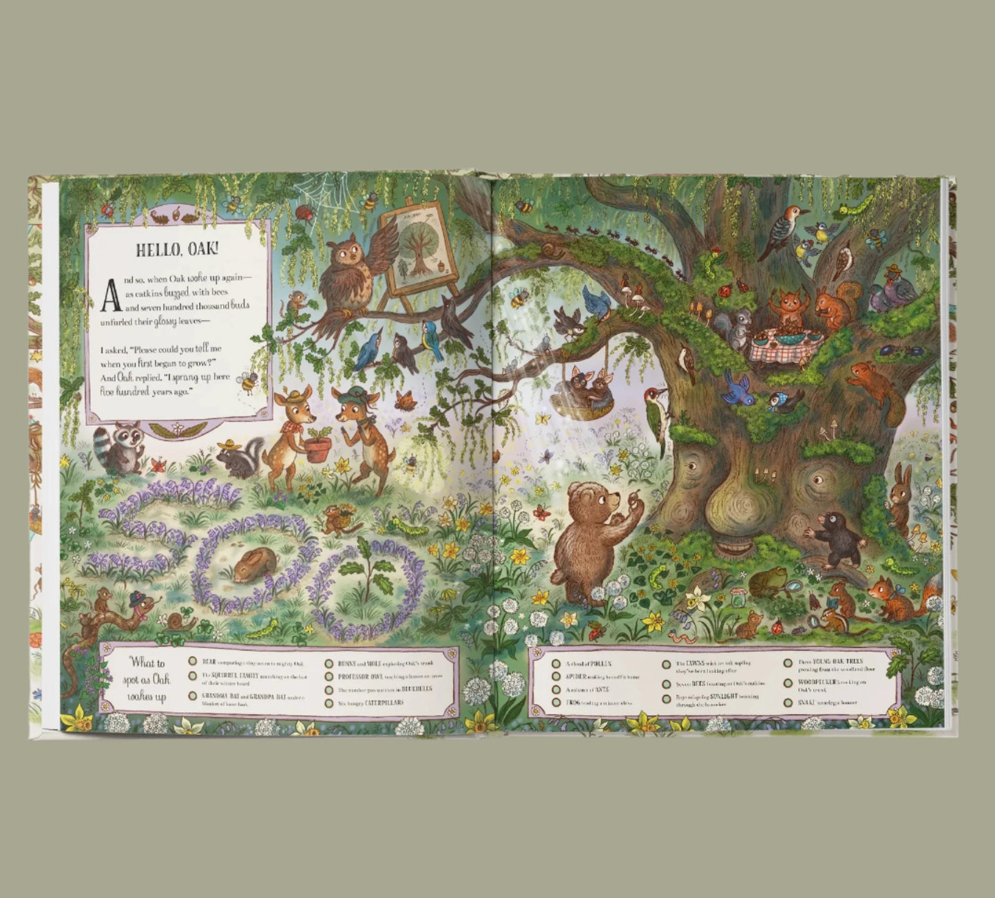 Books - Brown Bear Wood, The Grand Old Oak and the Birthday Ball by Rachel Piercey - Hardback.