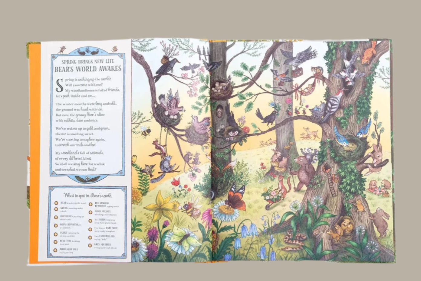 Books - If you go down to the woods today - Rachel Piercey. Hardback.