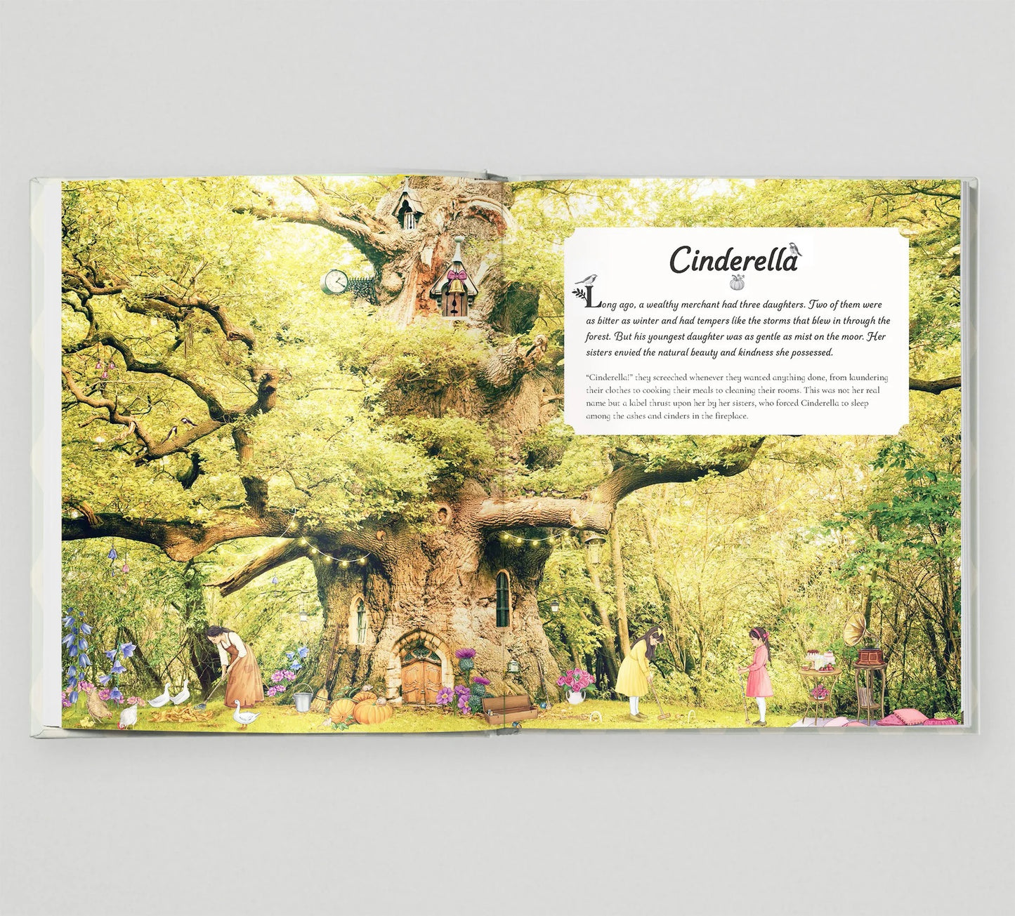 Step Inside A Fairytale. Hardback.