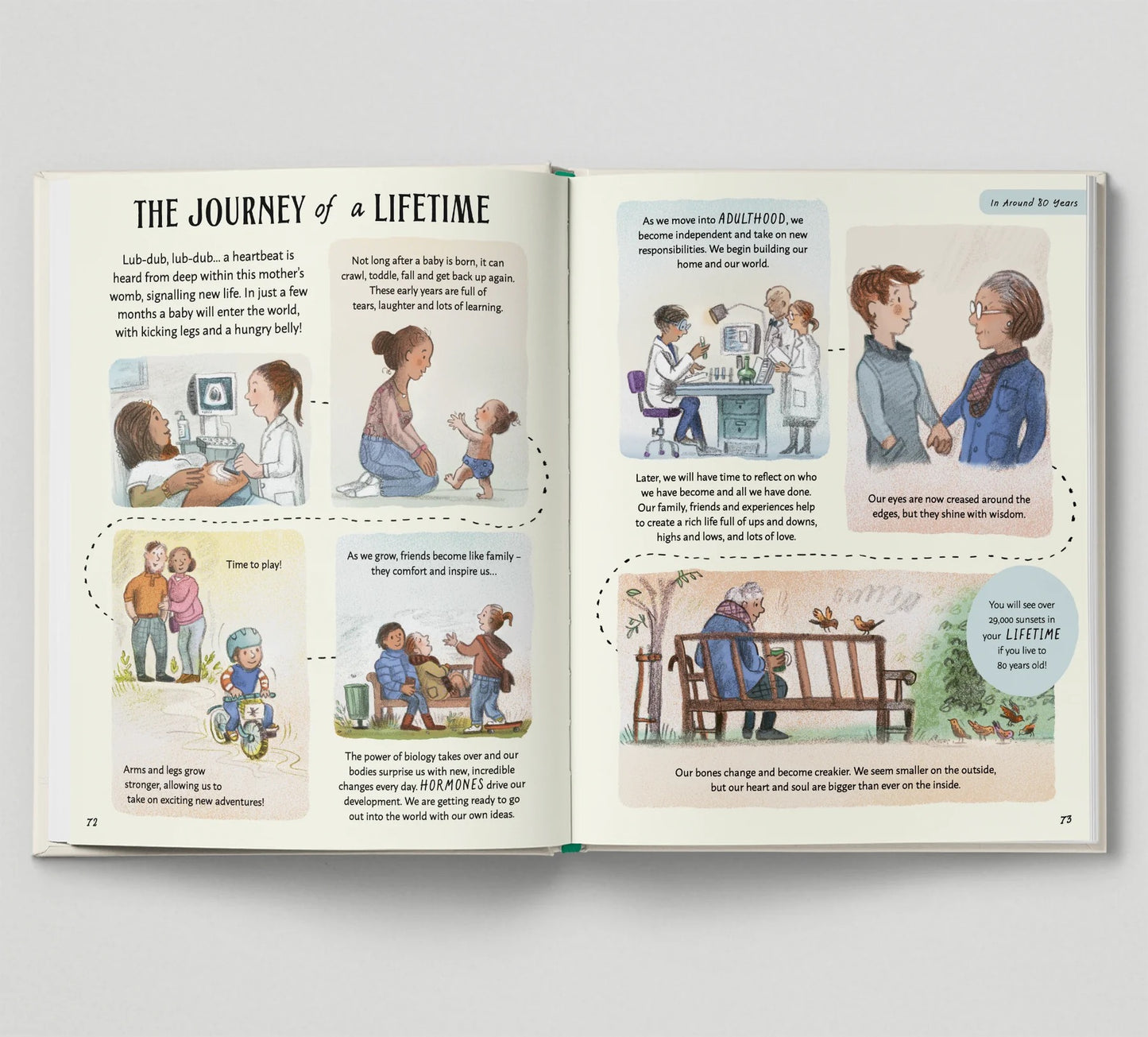 Book - Patience - Rachel Williams and Leonie Lord - Hardback.