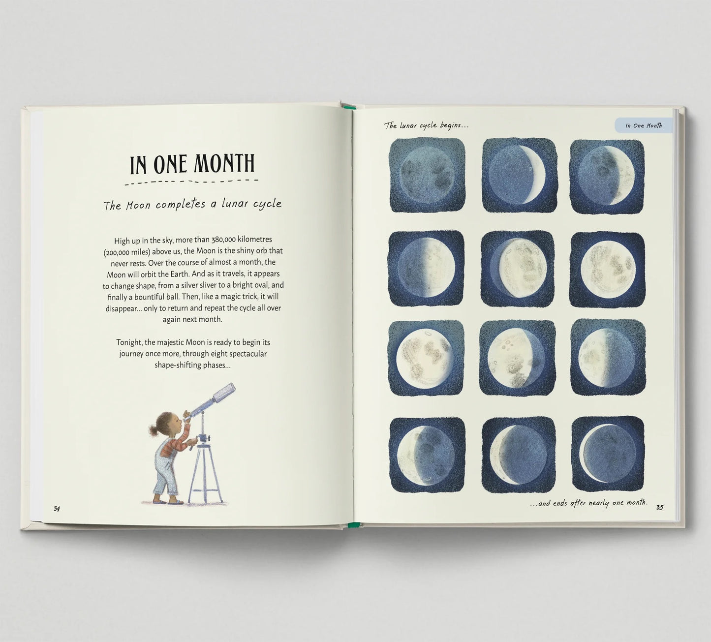 Book - Patience - Rachel Williams and Leonie Lord - Hardback.