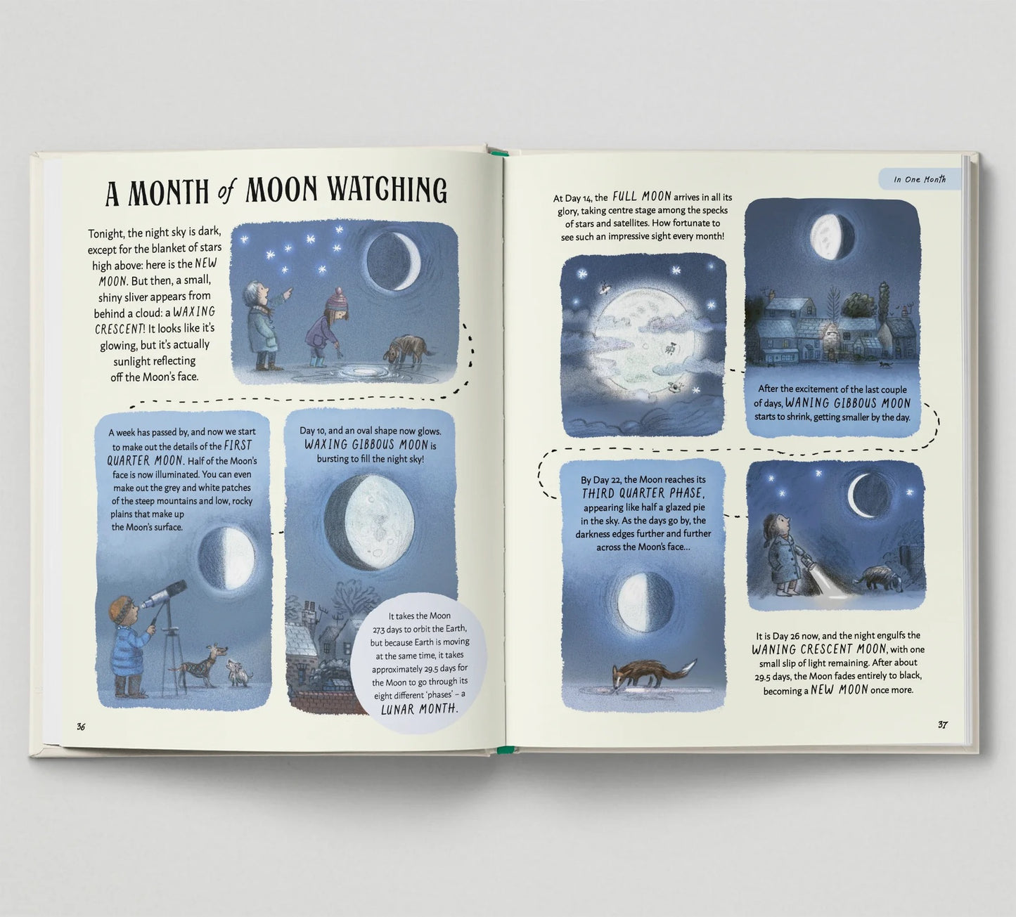 Book - Patience - Rachel Williams and Leonie Lord - Hardback.