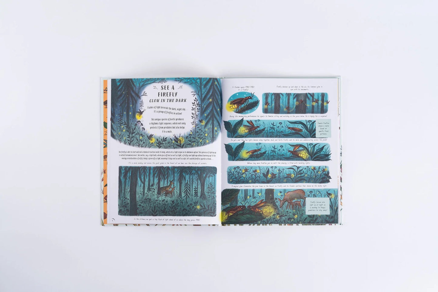 Books - Slow Down and Be Here Now - Laura Brand and Freya Hartas - Hardback.