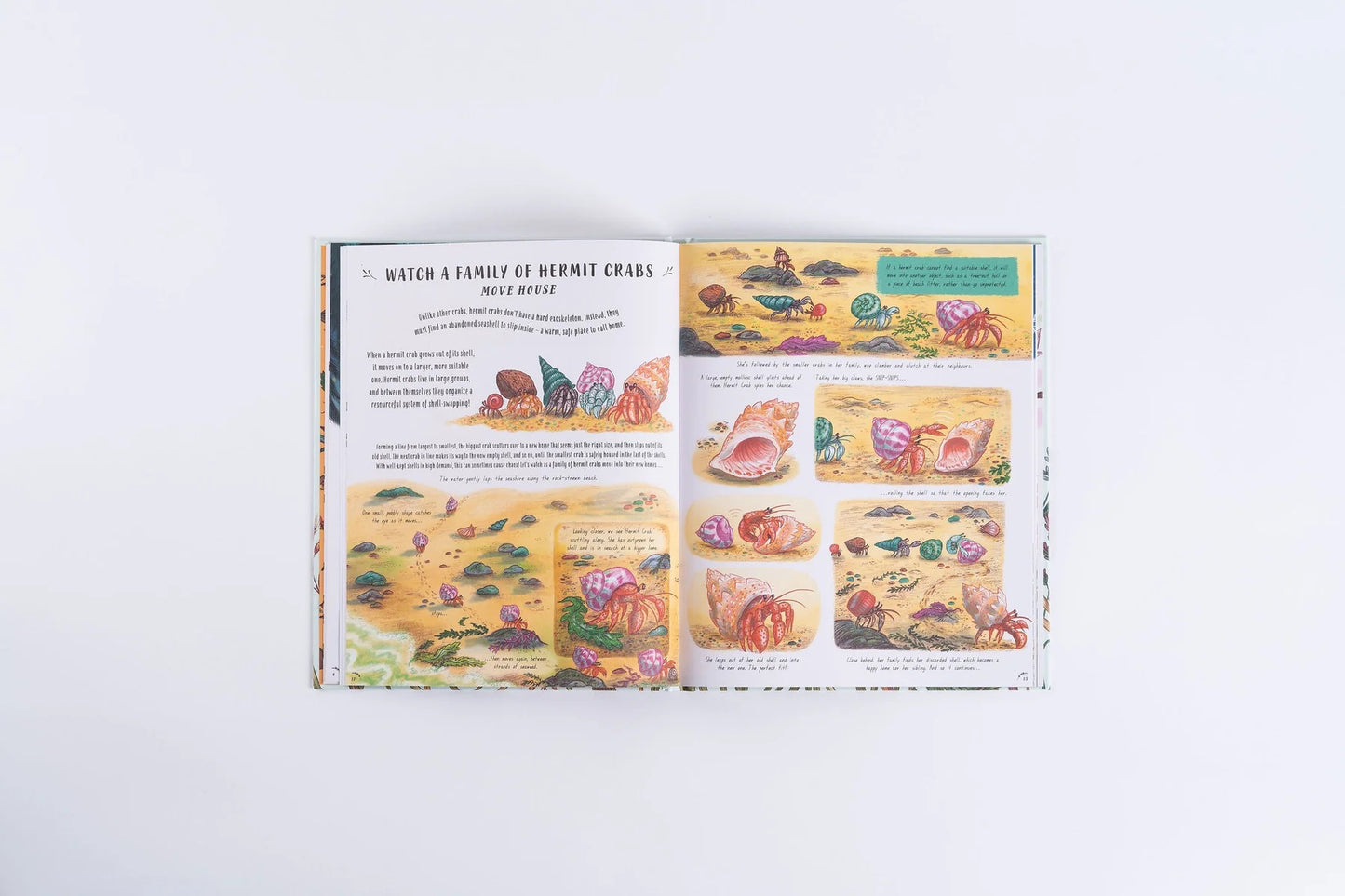 Books - Slow Down and Be Here Now - Laura Brand and Freya Hartas - Hardback.