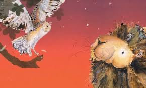 Arlo the lion who couldn't sleep. Picture book by Catherine Rayner.
