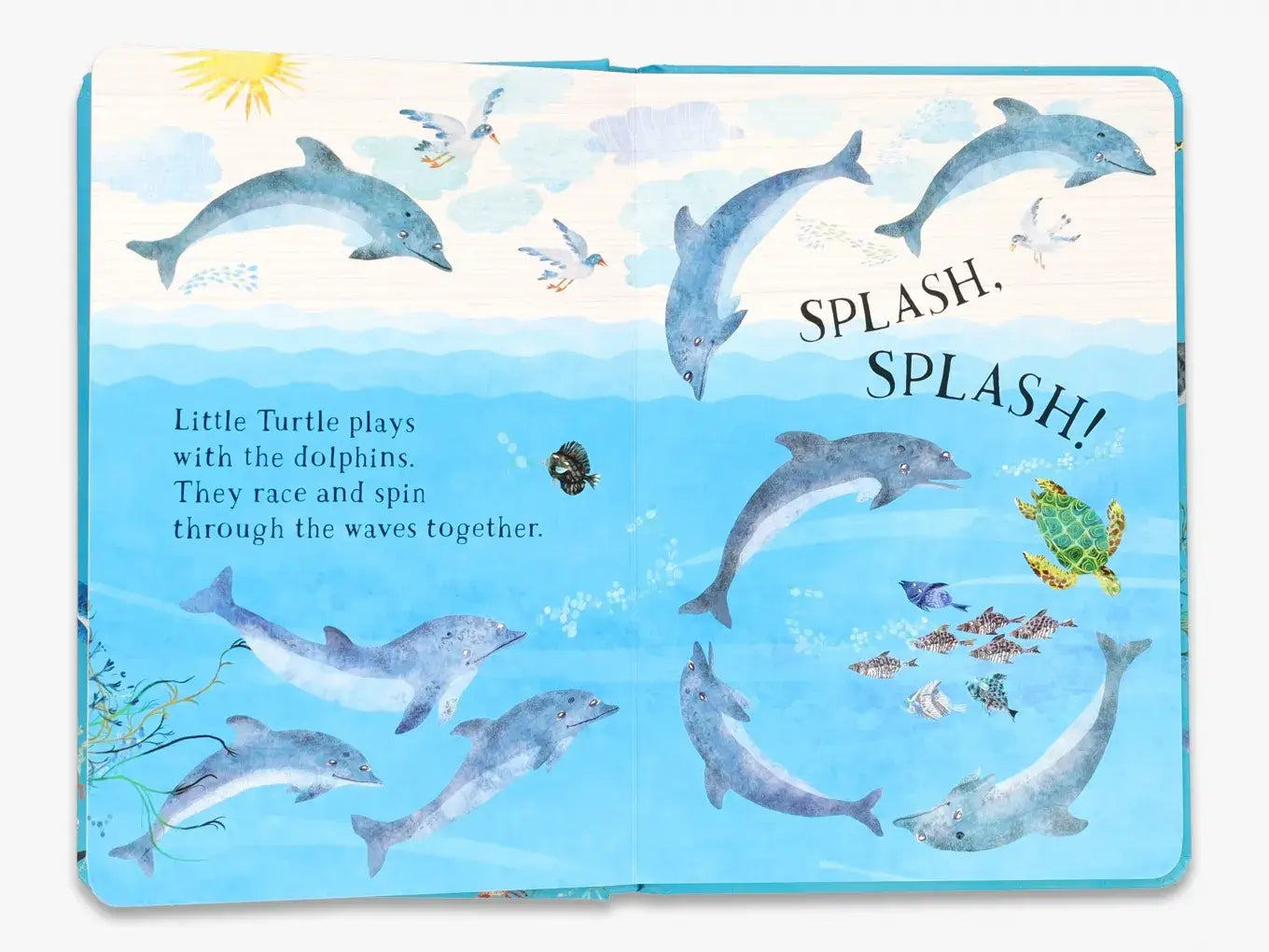 Little Turtle's Book of the Blue