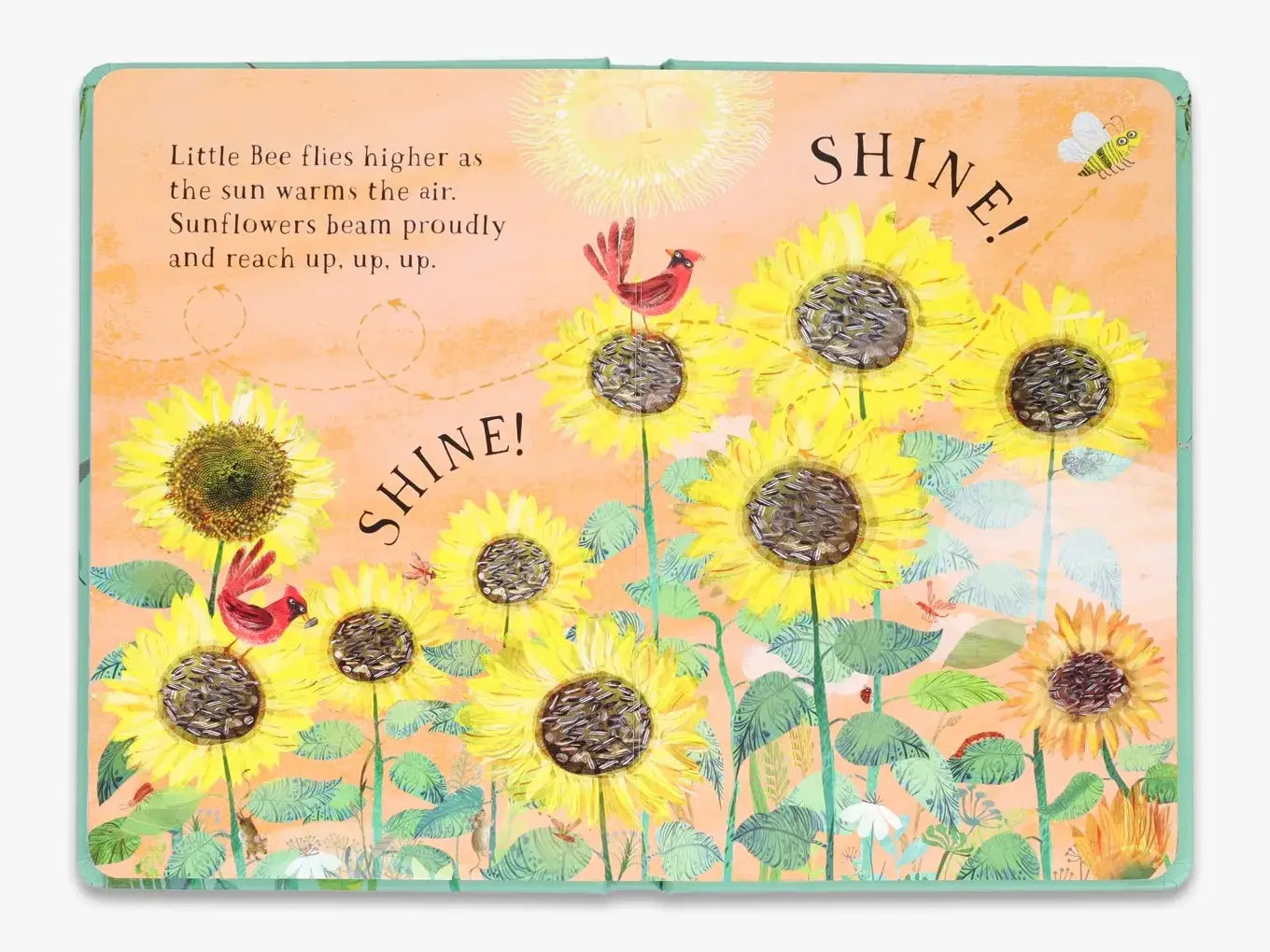 Little Bee's Book of Blooms