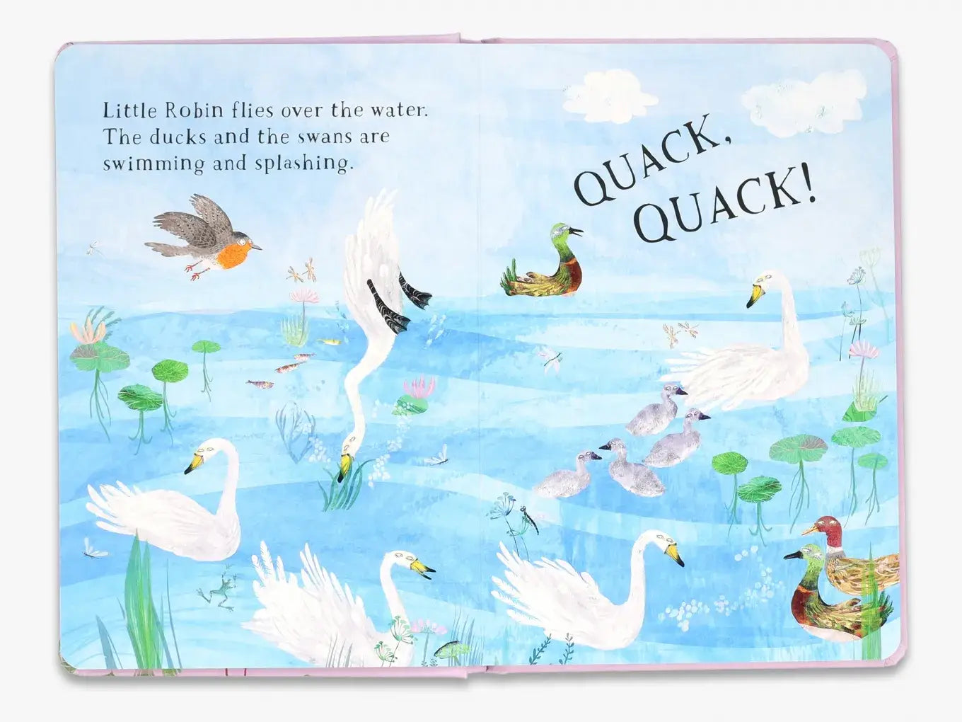 Little Robin's Book of Birds