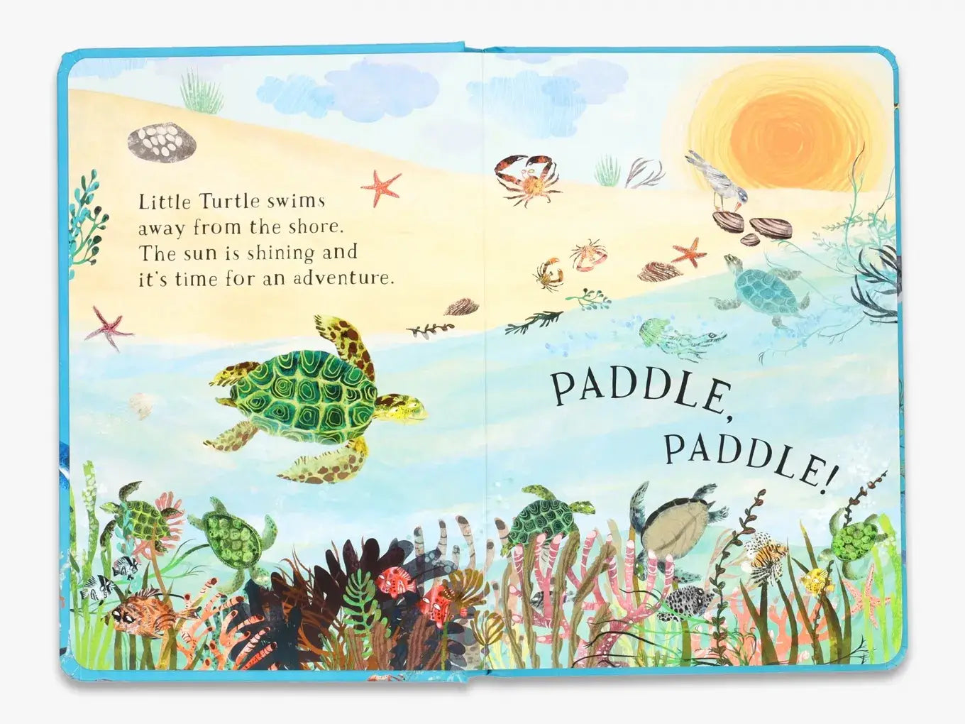 Little Turtle's Book of the Blue