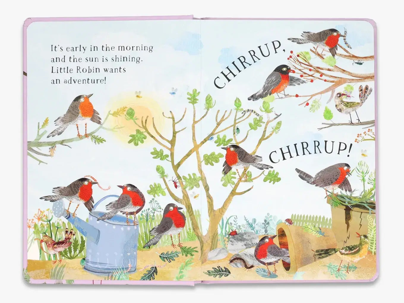 Little Robin's Book of Birds