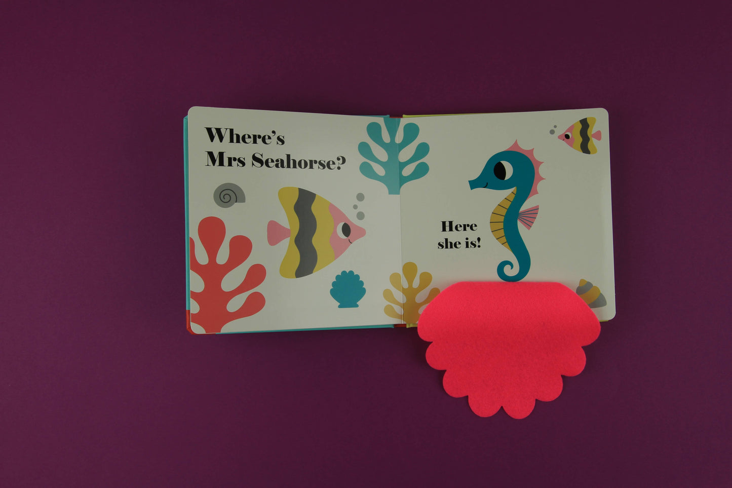 Felt Flaps: Where's Mr Narwhal?