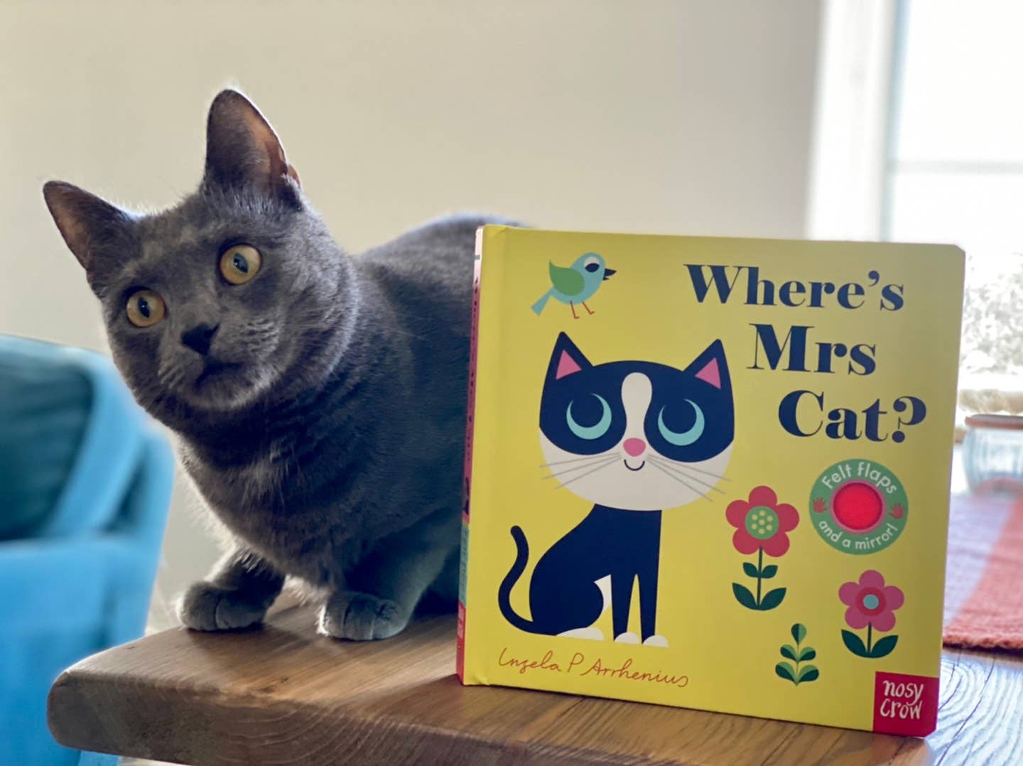 Felt Flaps: Where's Mrs Cat?