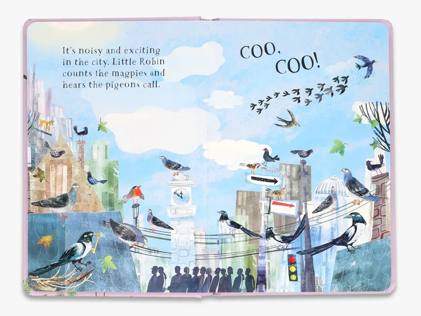 Little Robin's Book of Birds