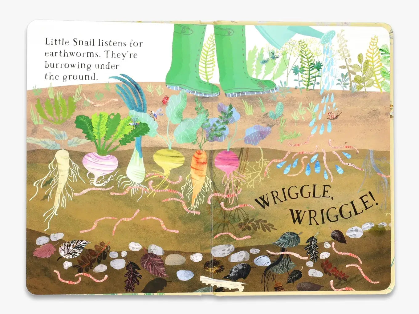 Little Snail's Book of Bugs