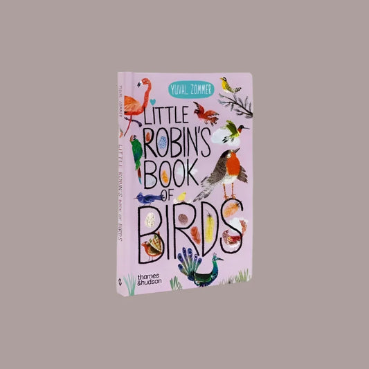 Little Robin's Book of Birds