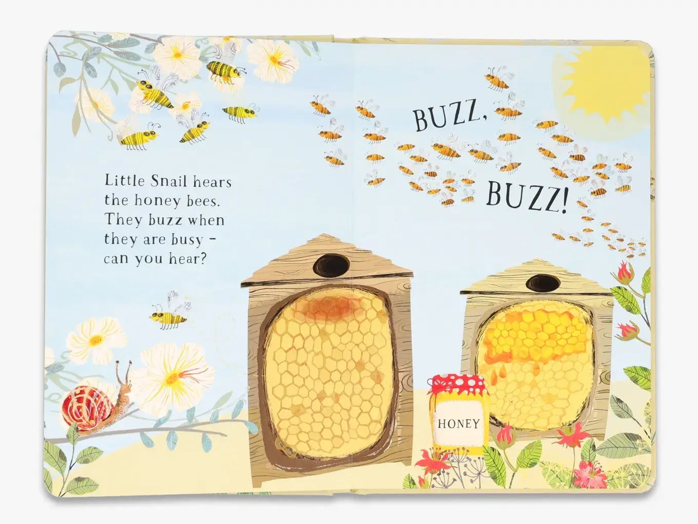 Little Snail's Book of Bugs