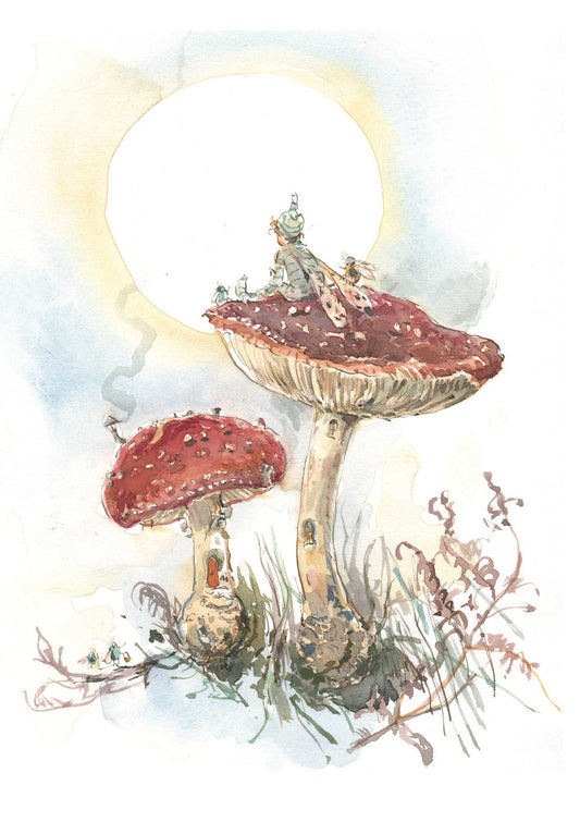 Claire Fletcher - Fairy Friends