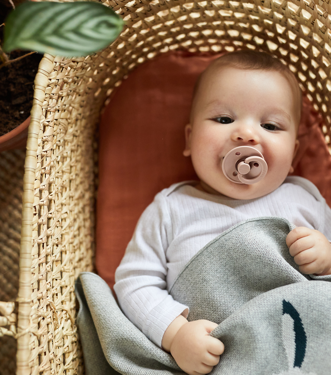 Stork Baby Blanket