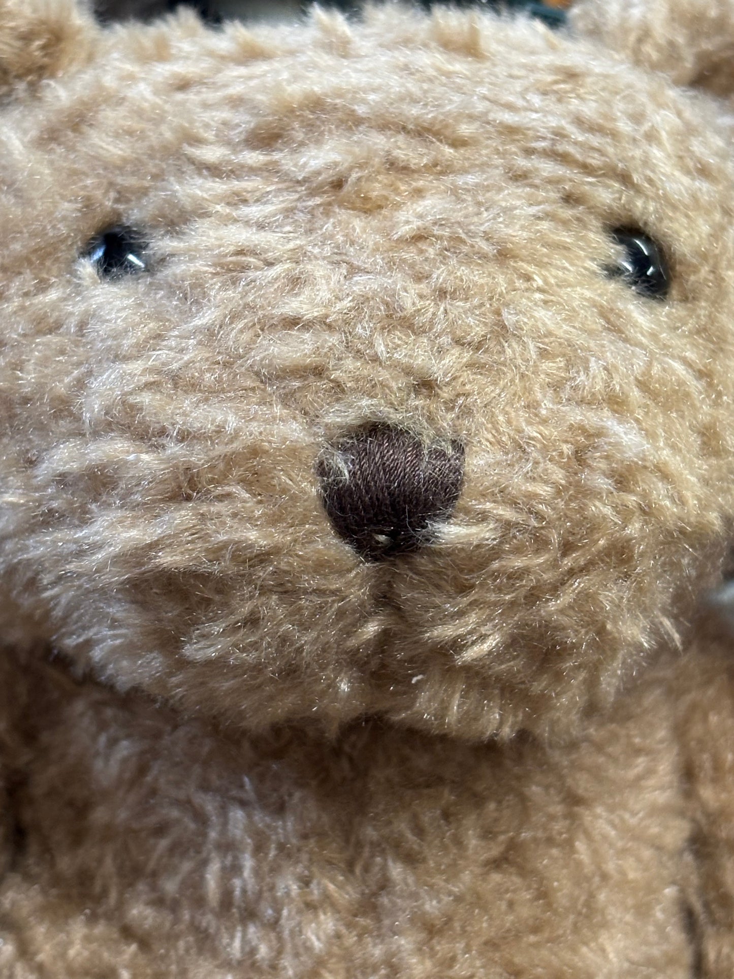 Eustache the Bear. Large.