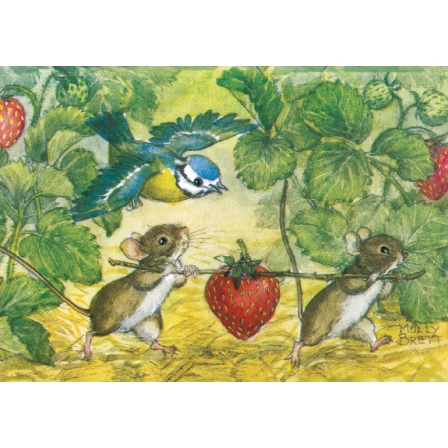 Molly Brett - A Strawberry for Tea. Postcard.