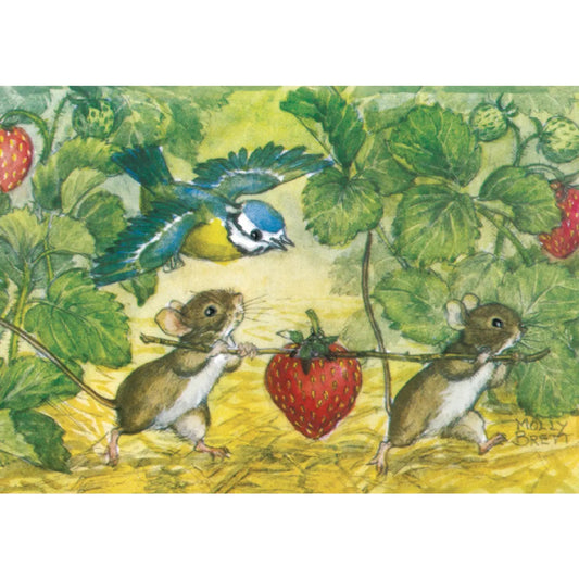 Molly Brett - A Strawberry for Tea. Postcard.