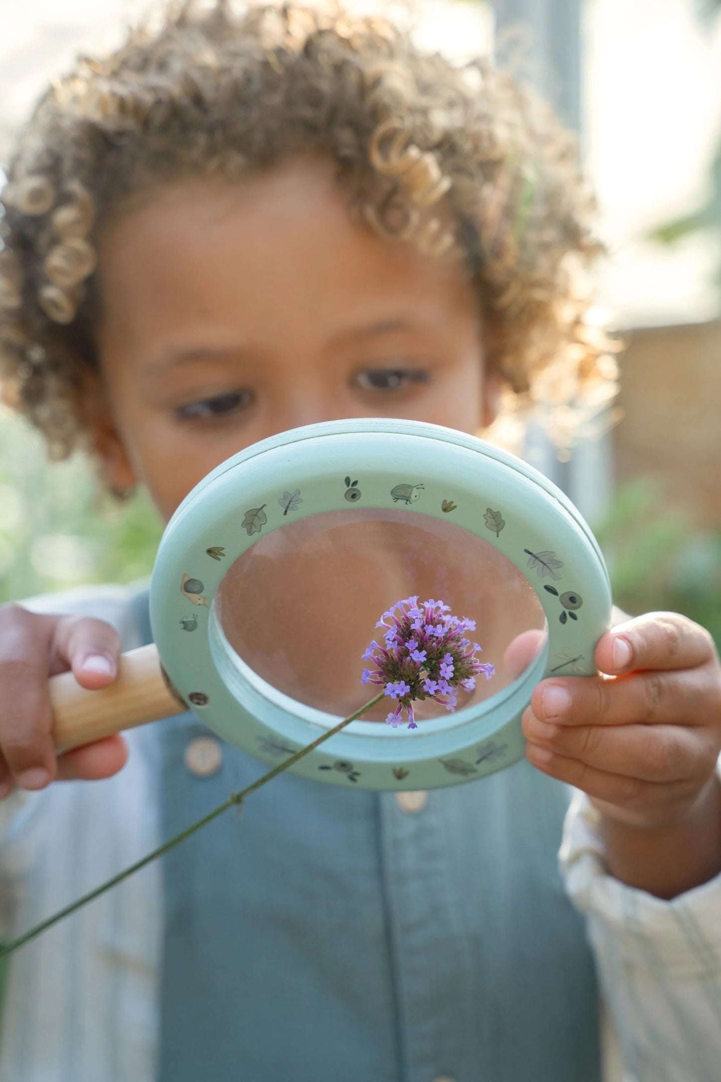 Magnifying Glass. Forest Friends.