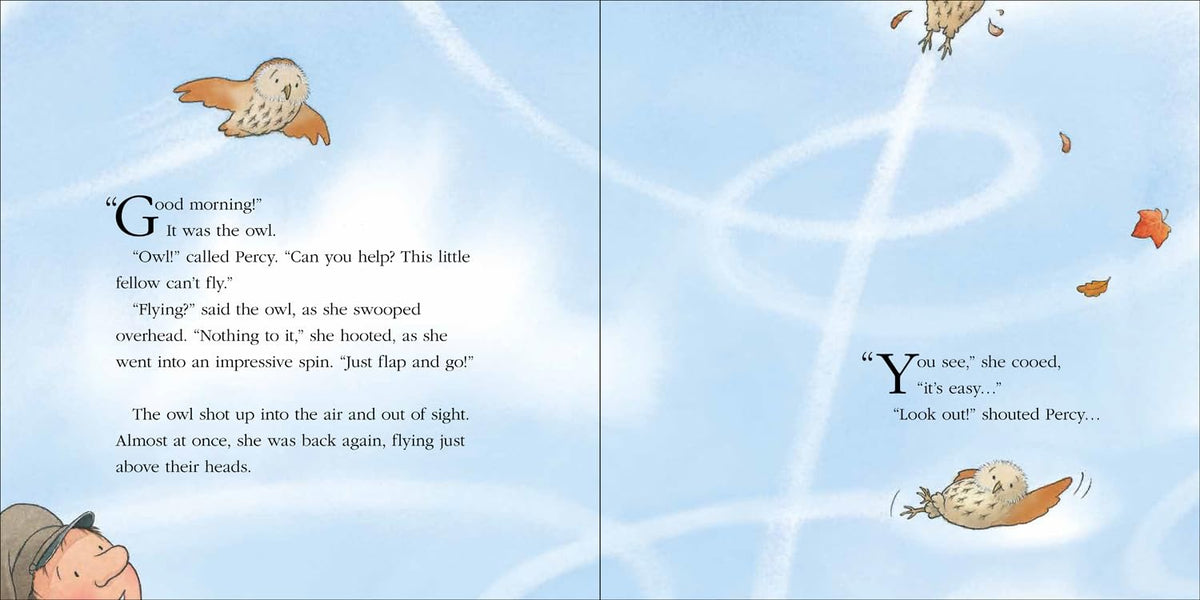 Percy the Park keeper. Owl's Lesson.  Picturebook. Nick Butterworth.