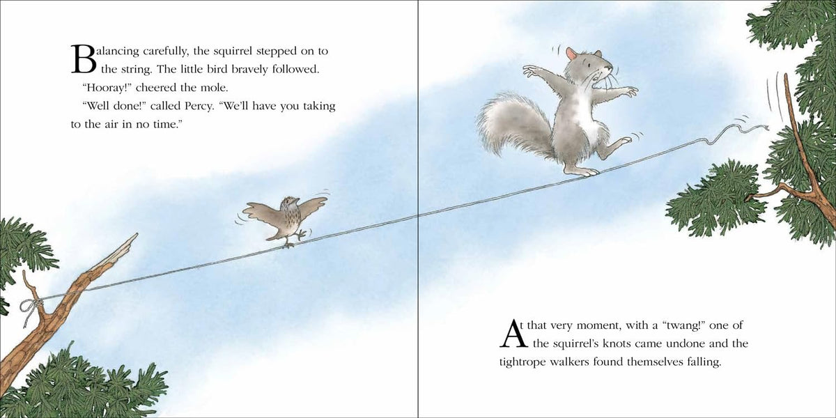 Percy the Park keeper. Owl's Lesson.  Picturebook. Nick Butterworth.