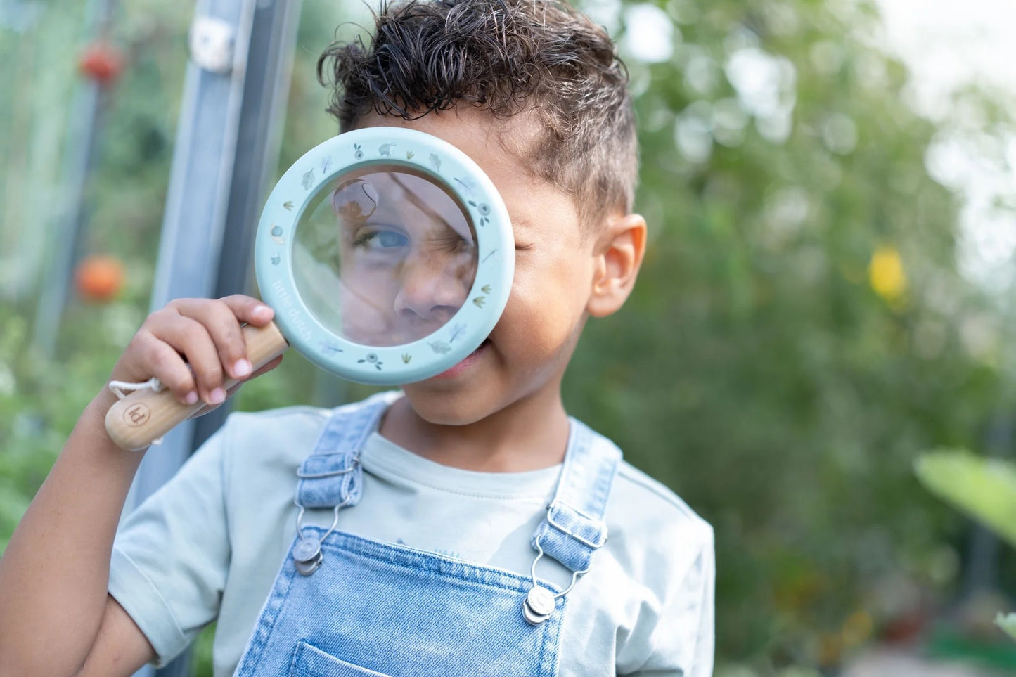 Magnifying Glass. Forest Friends.