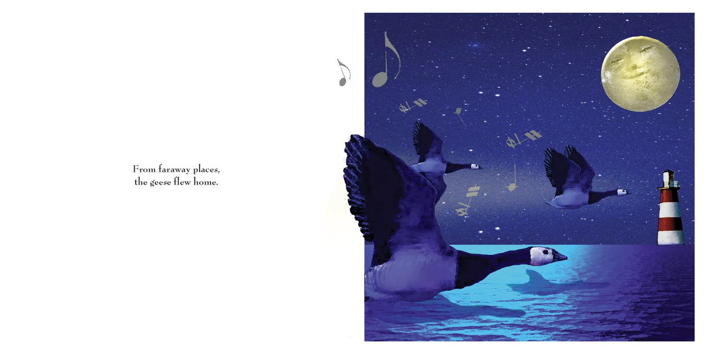 On The Night You Were Born. Nancy Tillman. Board Book.