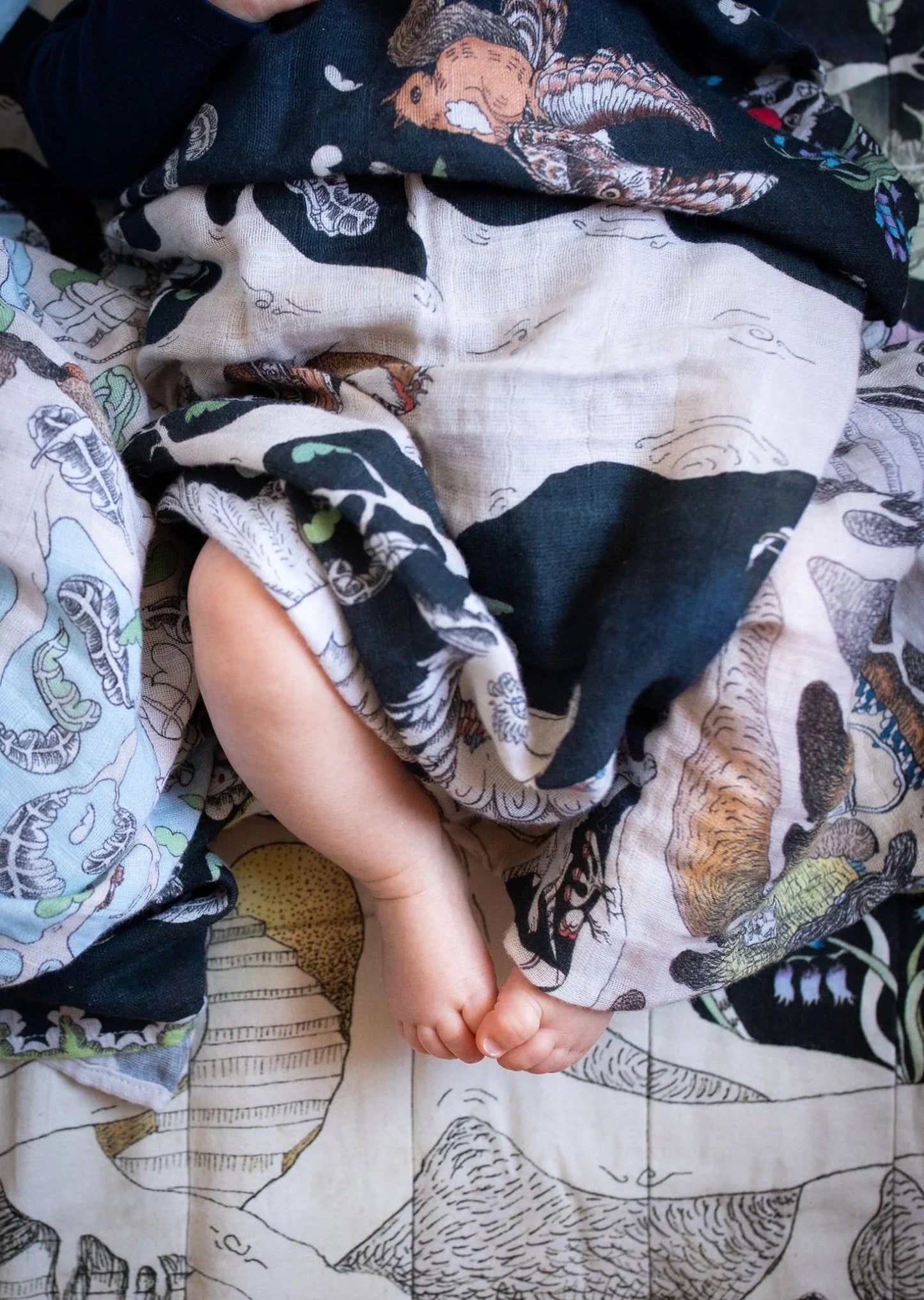 Forivor - The Enchanted Forest Organic Cotton Swaddle/ Blanket.