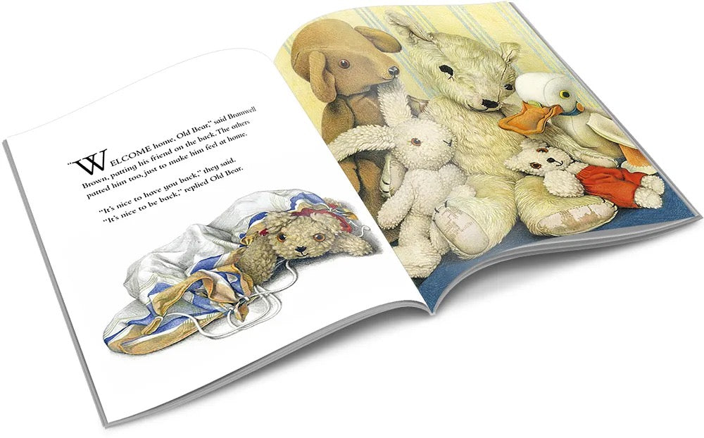 Old Bear. Picturebook.