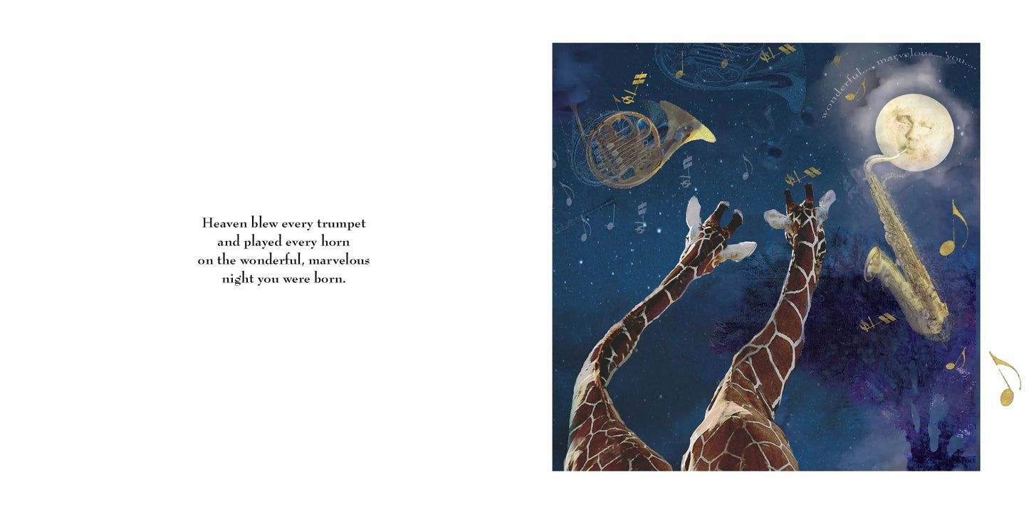 On The Night You Were Born. Nancy Tillman. Board Book.