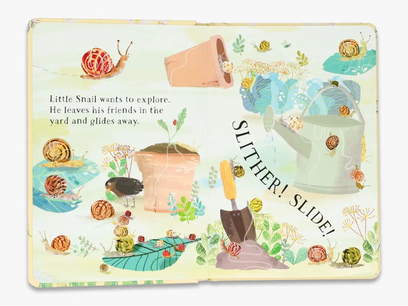 Little Snail's Book of Bugs