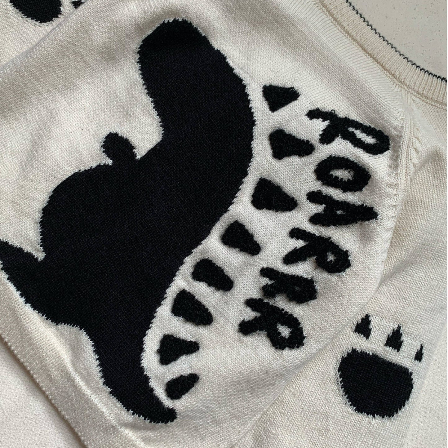 Dino Jumper